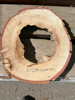Spalted Maple